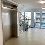 Helles über Den Dächern Rostocks Apartment